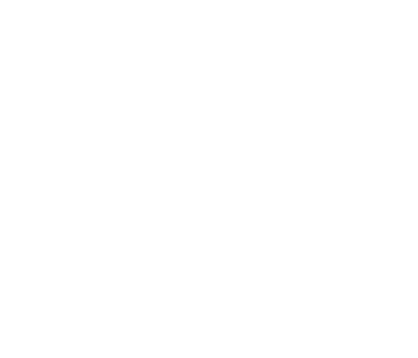 IFIMM